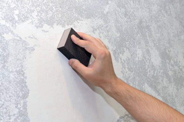 Best Mold Odor Removal Services  in Maria Stein, OH