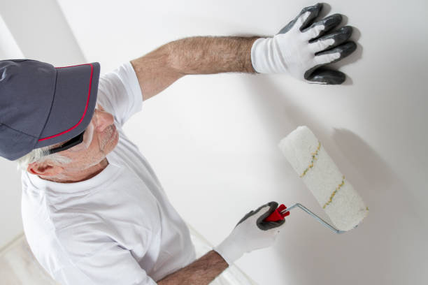 Best Mold Remediation for Healthcare Facilities  in Maria Stein, OH