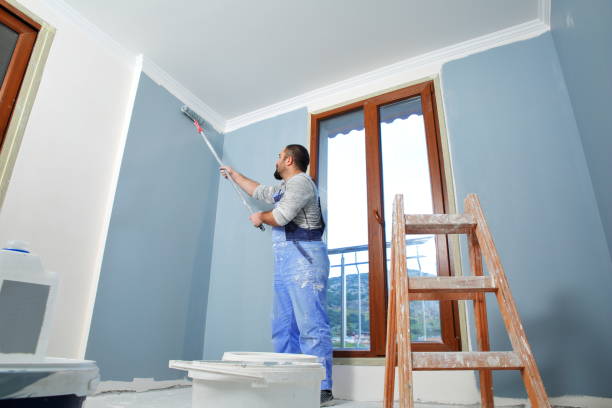 Best Post-Construction Mold Inspection  in Maria Stein, OH