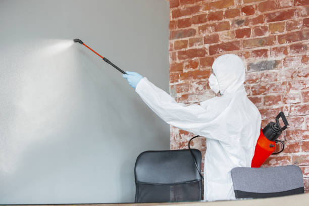 Best HVAC Mold Inspection and Cleaning  in Maria Stein, OH