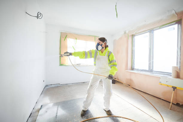 Best Real Estate Mold Inspection  in Maria Stein, OH