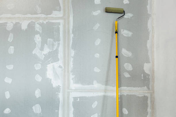 Best Commercial Mold Inspection  in Maria Stein, OH