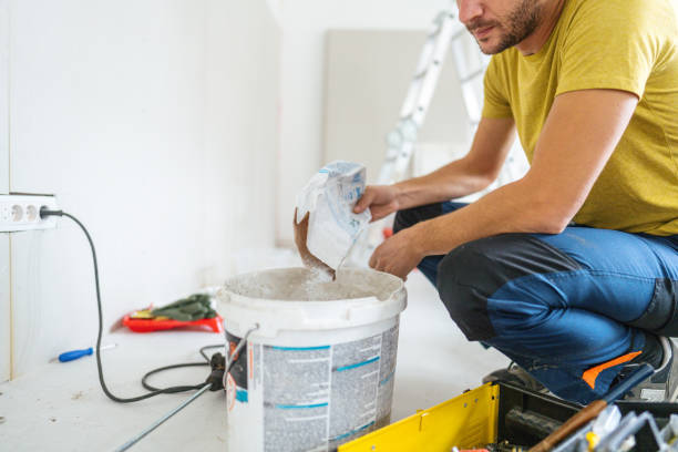 Best Basement Mold Removal  in Maria Stein, OH
