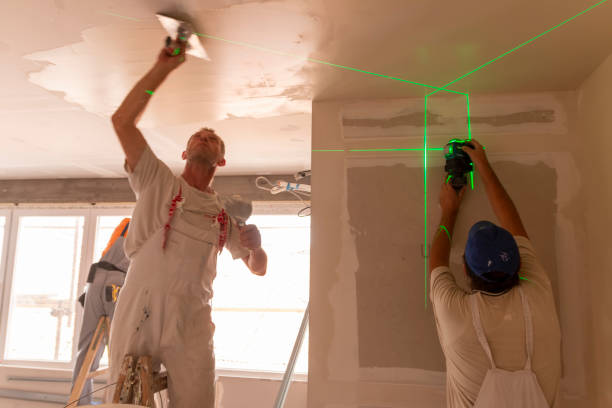 Best Attic Mold Removal  in Maria Stein, OH