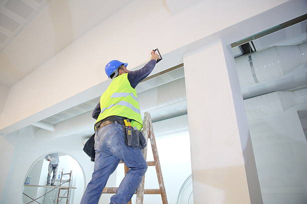 Best Comprehensive Air Testing for Mold Contaminants  in Maria Stein, OH