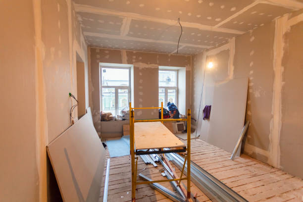 Best Mold Damage Restoration  in Maria Stein, OH