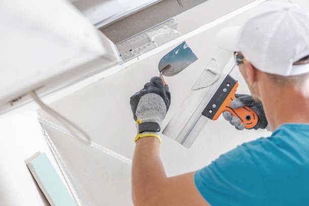 Best Forensic Mold Investigation  in Maria Stein, OH
